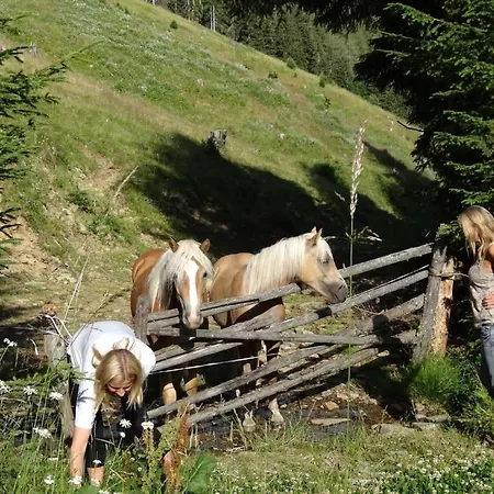 Prázdninový dům Mathehanshuette *