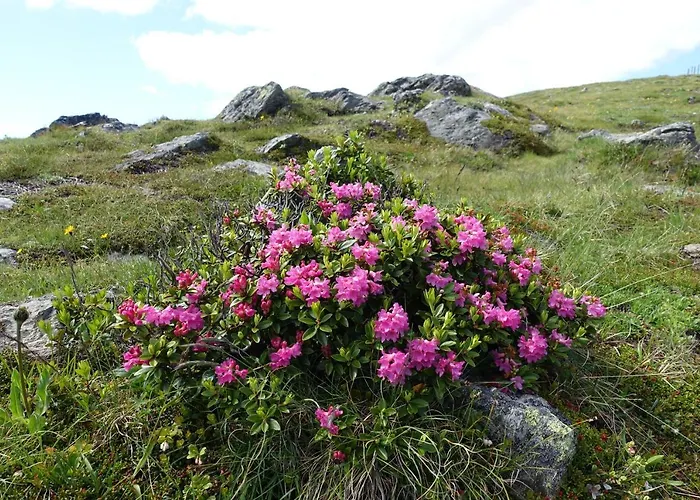 Mathehanshuette Innerkrems