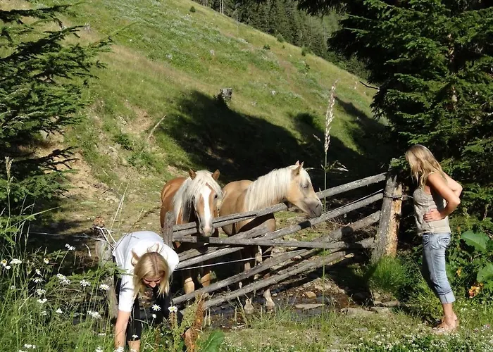 Feriehus Mathehanshuette *